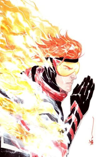 ABSOLUTE FLASH #15 CVR C DUSTIN NGUYEN CARD STOCK VAR